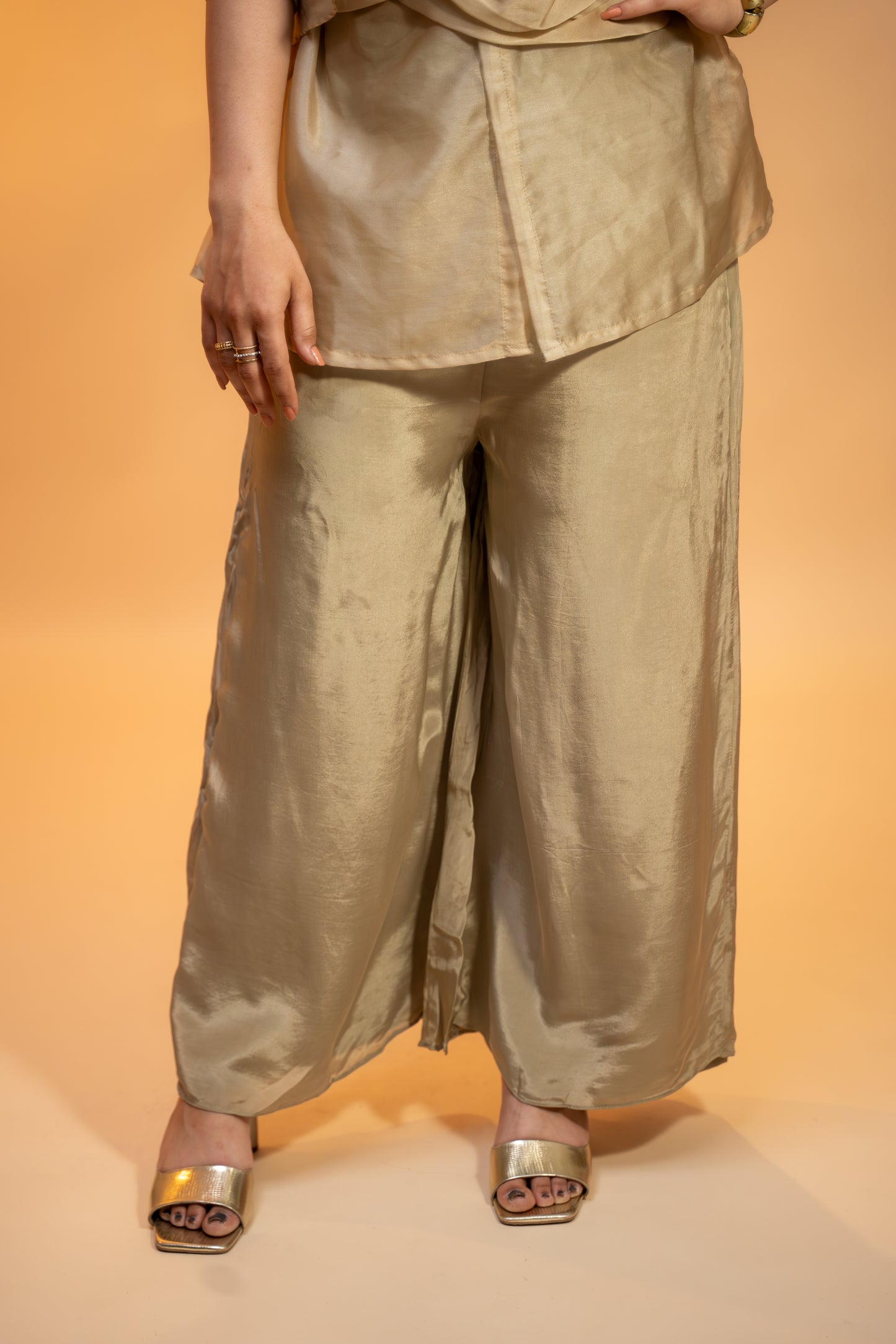 Champagne Organza Hand-Embroidered Top with Satin Parallel Pants